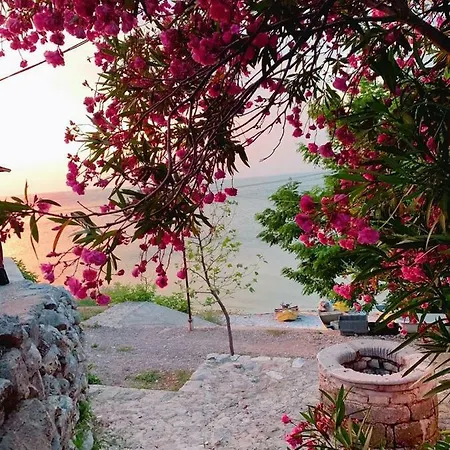 Vani I Bardhe Villa Zogaji