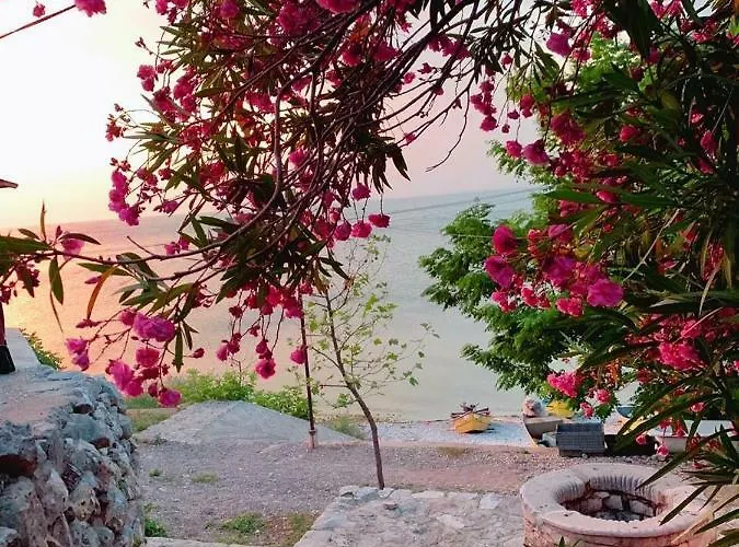 Vani I Bardhe Villa Zogaji