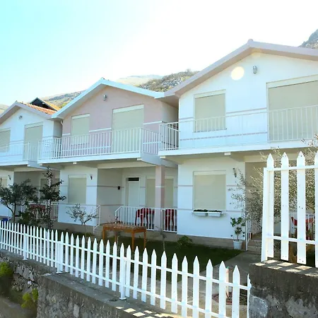 Vani I Bardhe Zogaji