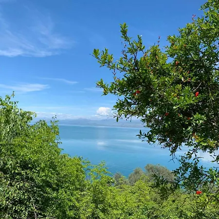 Vani I Bardhe 别墅 Zogaji