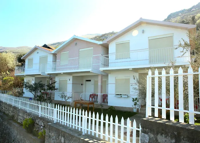 Vani I Bardhe Zogaj (Shkoder)